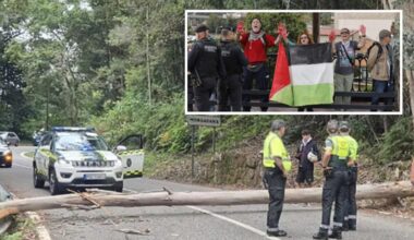 Vuelta, le proteste pro Palestina fermano anche la 16ª tappa: manifestanti tagliano un albero e bloccano la strada