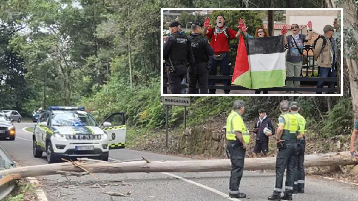 Vuelta, le proteste pro Palestina fermano anche la 16ª tappa: manifestanti tagliano un albero e bloccano la strada