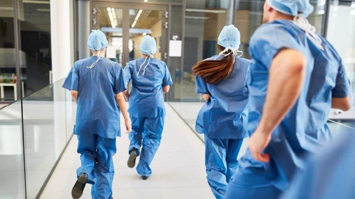 Università, la grande fuga da infermieristica: in Veneto domande crollate. «Fino al 40% di posti vacanti»