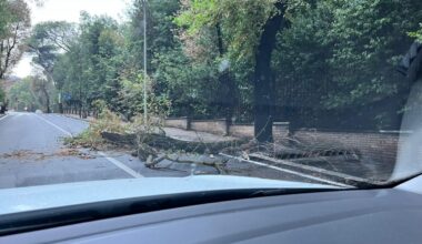 Nubifragio su Roma: alberi caduti per il maltempo e oltre 100 interventi dei vigili del fuoco