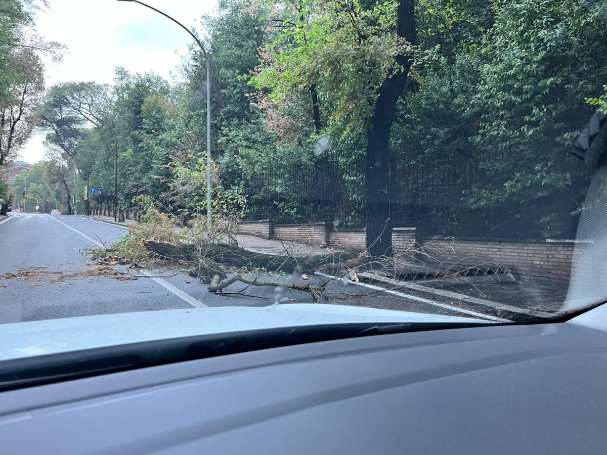 Nubifragio su Roma: alberi caduti per il maltempo e oltre 100 interventi dei vigili del fuoco