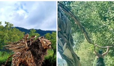 Leone alato di Martalar, nuovo sfregio alla scultura fatta con il legno della tempesta Vaia: vandali spezzano la coda