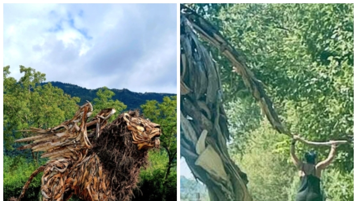 Leone alato di Martalar, nuovo sfregio alla scultura fatta con il legno della tempesta Vaia: vandali spezzano la coda