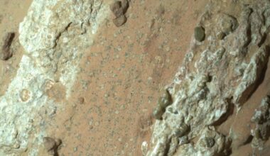 «Possibili tracce di vita su Marte». L'annuncio Nasa: scoperta una possibile biofirma dal rover Perseverance