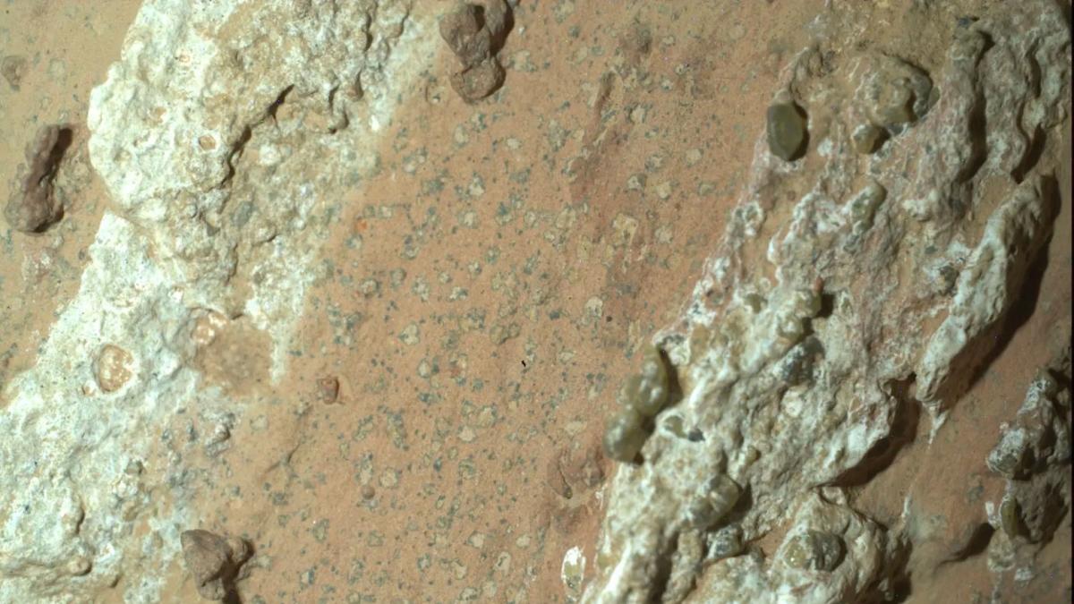 «Possibili tracce di vita su Marte». L'annuncio Nasa: scoperta una possibile biofirma dal rover Perseverance