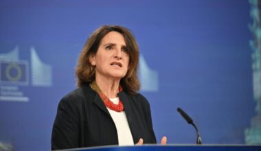 Big tech, Ribera (Commissione Ue): «Eliminare il dominio di Google e prevenire nuove violazioni»