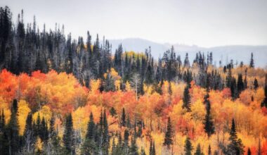 Equinozio d'autunno 2025: data, ora, cosa significa e curiosità