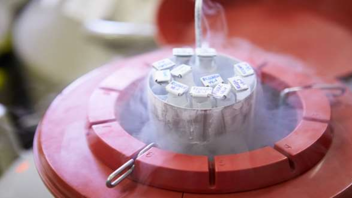 Opinioni | Cosa c’è dietro il «social freezing»