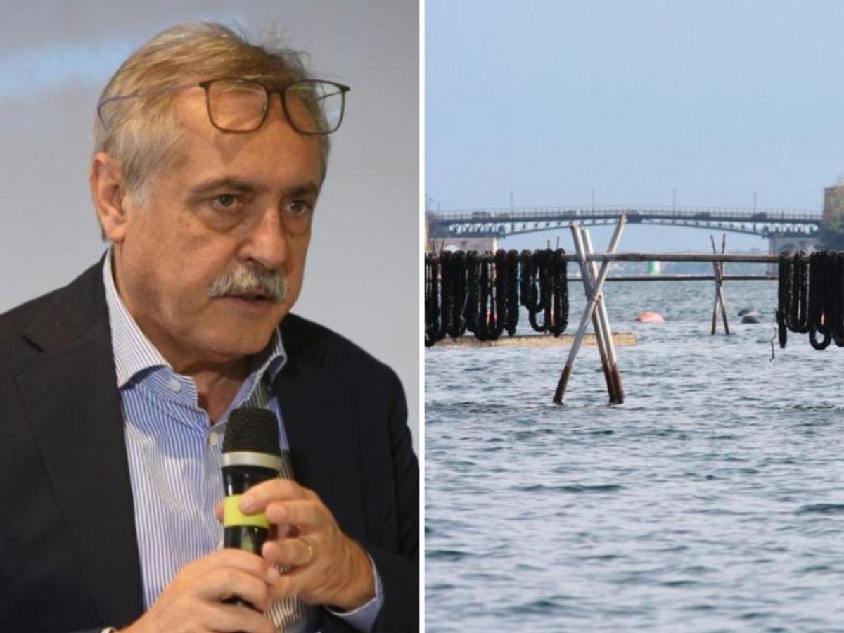 «Diossina nelle cozze di Taranto». Rivolta contro la frase di Enzo Magistà, ex direttore del TgNorba e possibile candidato governatore del centrodestra