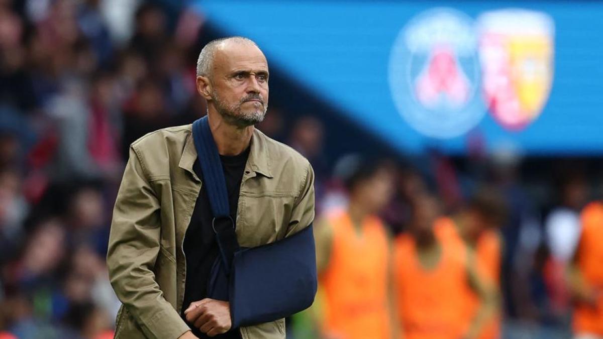 Luis Enrique guarda al rugby: "Per osservare meglio il PSG sono salito in tribuna"