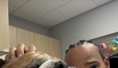 Morto il cane di Lewis Hamilton: il post social per l'addio a Roscoe