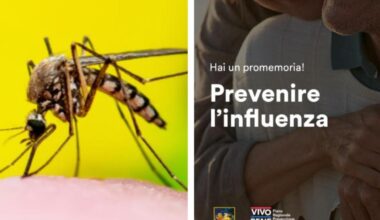 West Nile e virus delle zanzare, è ancora incubo in Veneto: un sindaco all'ospedale. Ma sono già pronti i vaccini per influenza e Covid. Lo strano autunno nei nostri ospedali