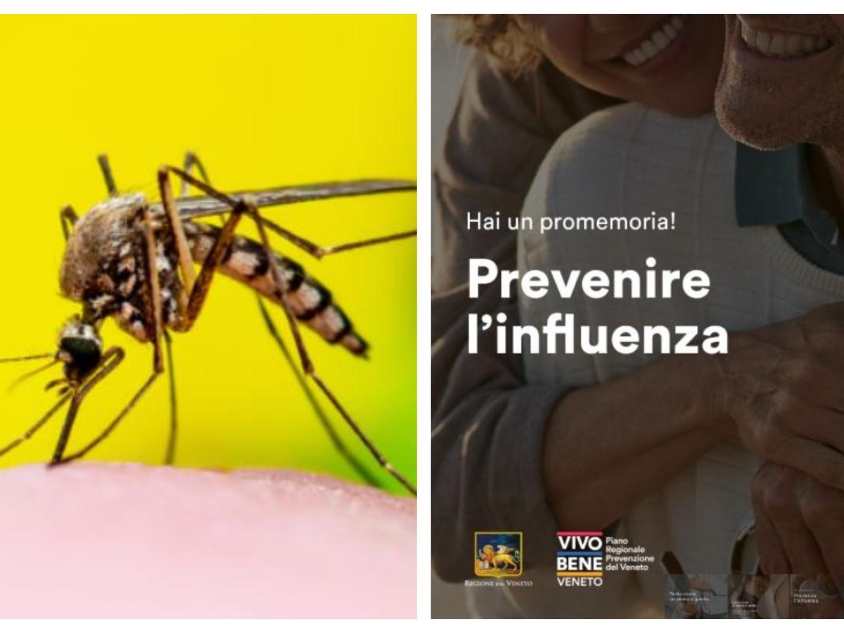 West Nile e virus delle zanzare, è ancora incubo in Veneto: un sindaco all'ospedale. Ma sono già pronti i vaccini per influenza e Covid. Lo strano autunno nei nostri ospedali