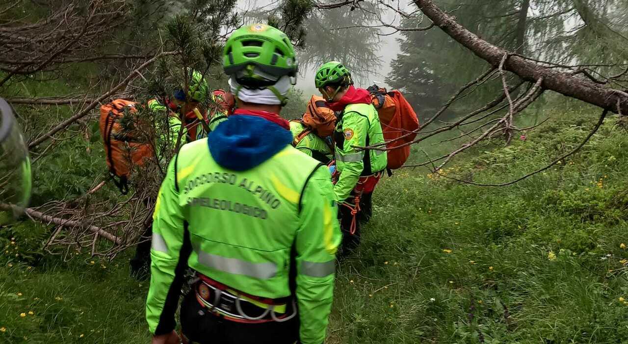 Anziana scompare nel bosco. Lei e il marito si addormentano in auto, quando lui si sveglia lei non c'è: ricerche in corso