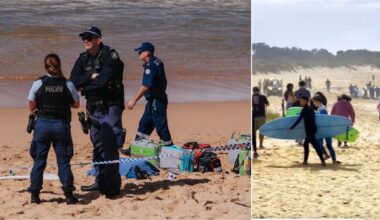 Surfista ucciso da uno «squalo enorme» a Sydney. «L'uomo ha perso gli arti»: aveva 57 anni, lascia moglie e figlia piccola - Il Messaggero