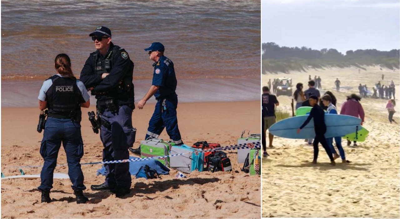 Surfista ucciso da uno «squalo enorme» a Sydney. «L'uomo ha perso gli arti»: aveva 57 anni, lascia moglie e figlia piccola - Il Messaggero