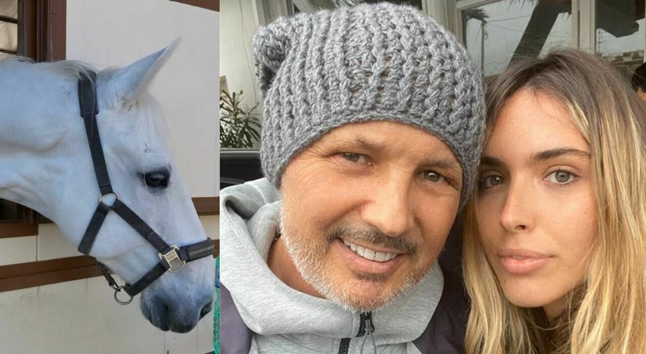Mihajlovic, la figlia Viktorija ritrova (per caso) il suo cavallo dopo 8 anni: «La notte prima ho sognato papà in sella». Cosa è successo - Il Messaggero