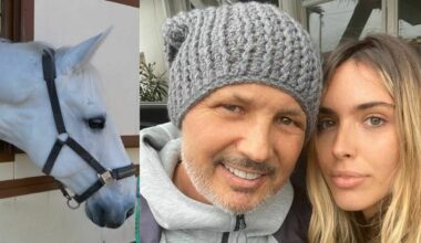 La figlia di Mihajlovic ritrova il suo cavallo dopo 8 anni: «Ho sognato papà in sella» - Il Mattino
