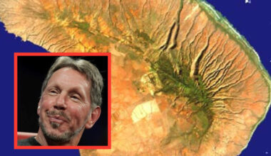 Larry Ellison, chi è l'uomo più ricco al mondo (superando Elon Musk): l'adozione a nove mesi, i sei matrimoni, l'isola hawaiana di proprietà - Leggo.it