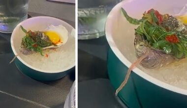 Verme nell'ostrica al ristorante di sushi, il video: «Io non magio più». I proprietari: «Vuol dire che il pesce è fresco» - Il Messaggero
