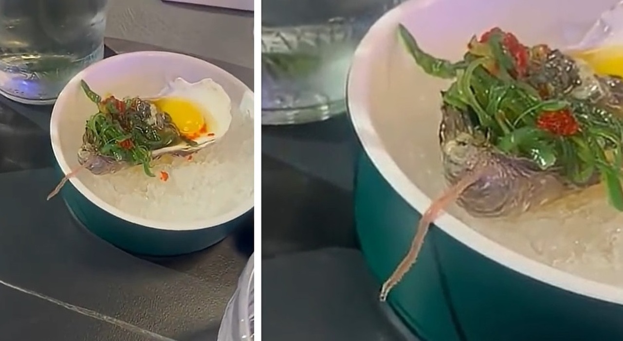Verme nell'ostrica al ristorante di sushi, il video: «Io non magio più». I proprietari: «Vuol dire che il pesce è fresco» - Il Messaggero