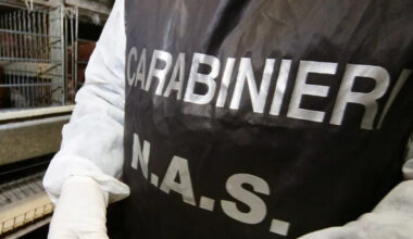 Licola, intossicazione alimentare in un ristorante: 10 persone in ospedale