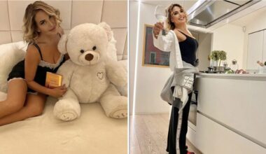 la casa total white nel verde, lo stile elegante e la collezione di peluche