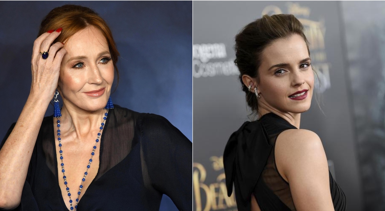 «Non sa quanto è ignorante». Ecco cosa è successo