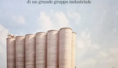 Da Ferruzzi a Gardini ascesa e caduta