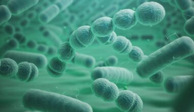 vai alla homepage de Il Sole 24 Ore