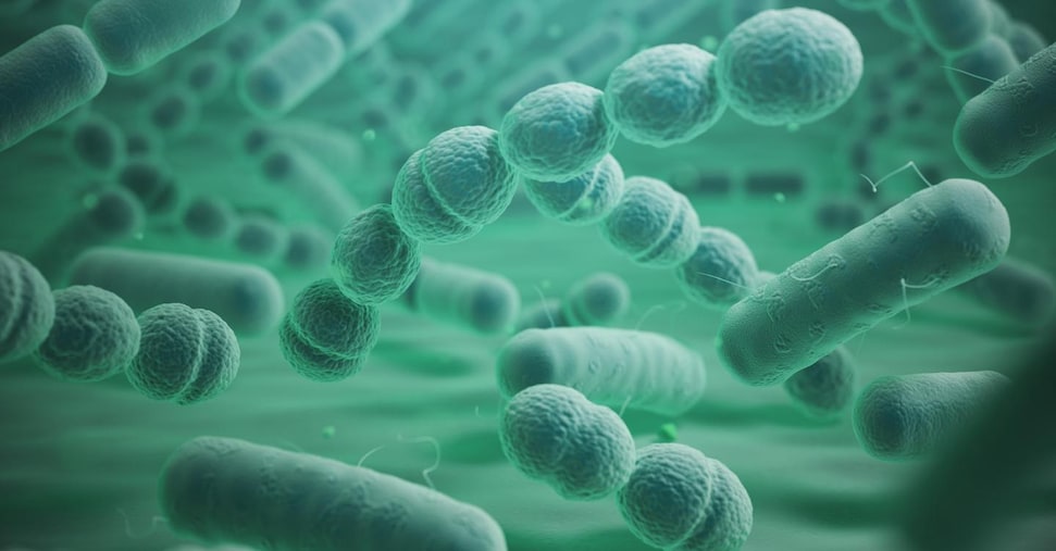 vai alla homepage de Il Sole 24 Ore