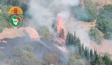 Montecatini Val di Cecina, incendio a Miemo: oliveti e boschi in fiamme