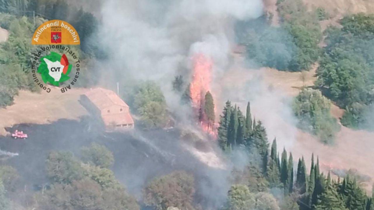 Montecatini Val di Cecina, incendio a Miemo: oliveti e boschi in fiamme