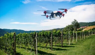 ANSES, FRANCIA, PRODOTTI FITOSANITARI, SALUTE, SANTÉ PUBLIQUE FRANCE, TRATTAMENTI FITOSANITARI, VIGNETI, Mondo
