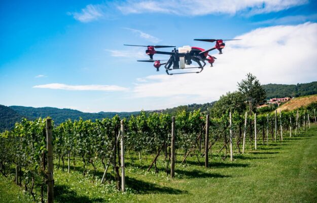 ANSES, FRANCIA, PRODOTTI FITOSANITARI, SALUTE, SANTÉ PUBLIQUE FRANCE, TRATTAMENTI FITOSANITARI, VIGNETI, Mondo