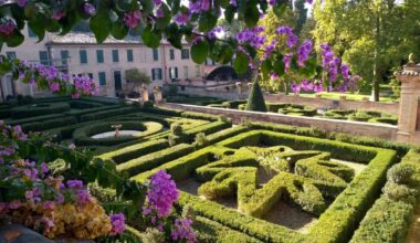 Architettura rinascimentale, alberi secolari e vetri d’autore a Pesaro