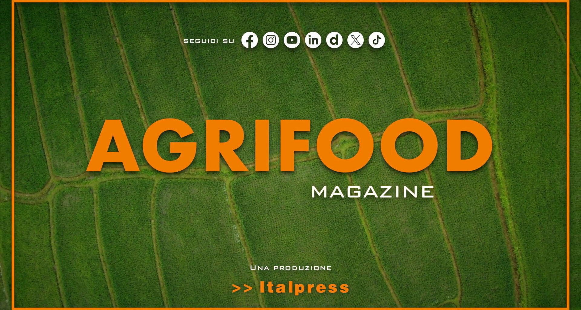 Agrifood Magazine - 3/9/2025 - OglioPoNews