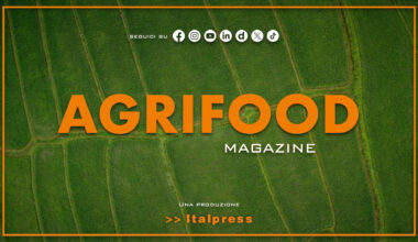 Agrifood Magazine - 3/9/2025 - OglioPoNews