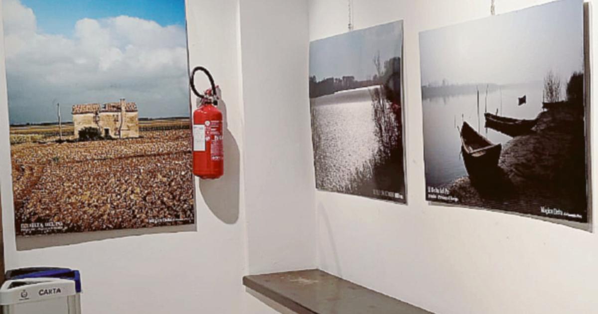 Piva e il magico Delta in mostra