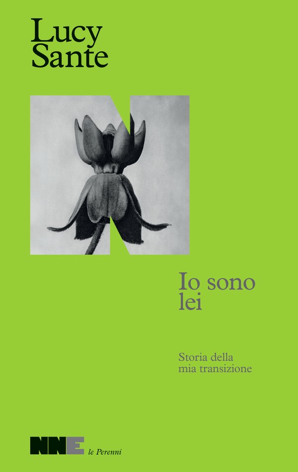 Io sono lei Lucy Sante.