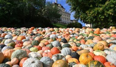 I migliori eventi e festival d'autunno in Europa nel 2025