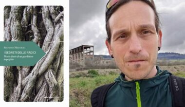 I segreti delle radici: un’epopea verde leggera e profonda, tra speranze e delusioni, api e galline