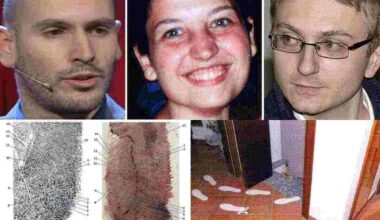 Garlasco, verso la proroga dell'incidente probatorio sul caso Poggi: attesa una nuova analisi del DNA - alanews