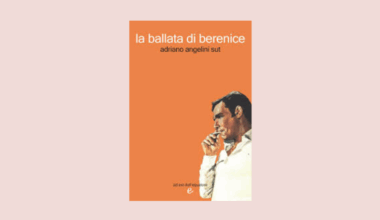 Le derive del nostro mondo, Angelini Sut graffiante e poetico