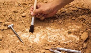 scoperta una statua umana di 12.000 anni
