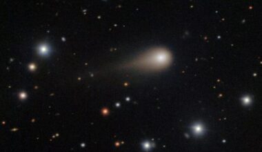 3I/ATLAS, cometa interstellare o astronave aliena? I dubbi sulle nuovo studio dell'astrofisico Avi Loeb
