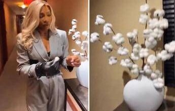 Serena Williams e la pianta di cotone in hotel: "Non va bene"
