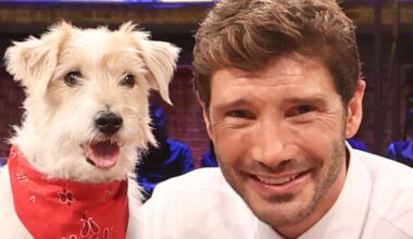 Affari Tuoi, Stefano De Martino cambia tutto per battere Gerry Scotti