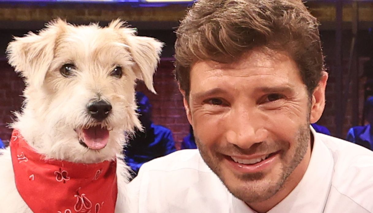 Affari Tuoi, Stefano De Martino cambia tutto per battere Gerry Scotti