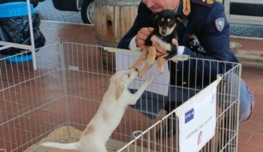 La “Carovana della sicurezza” fa tappa presso l’area di servizio Tevere Est
